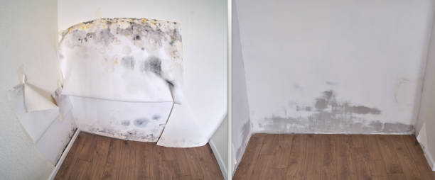 Carpet water damage restoration in Springfield, GA